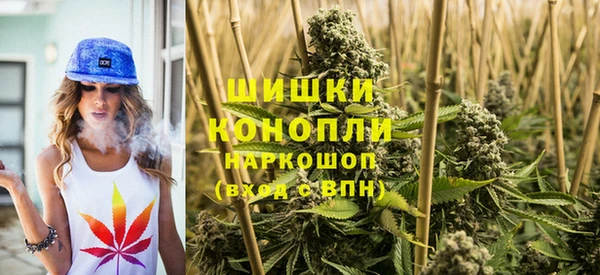 ПСИЛОЦИБИНОВЫЕ ГРИБЫ Зеленодольск