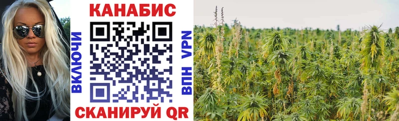 наркошоп  Куртамыш  shop какой сайт  Канабис тримм 